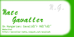 mate gavaller business card